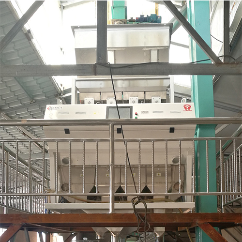 ZX6 RGB Color Sorter for Beans in Myanmar 