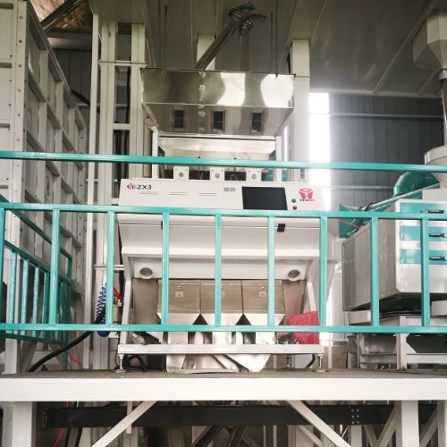 ZX3 sticky rice color sorter installed